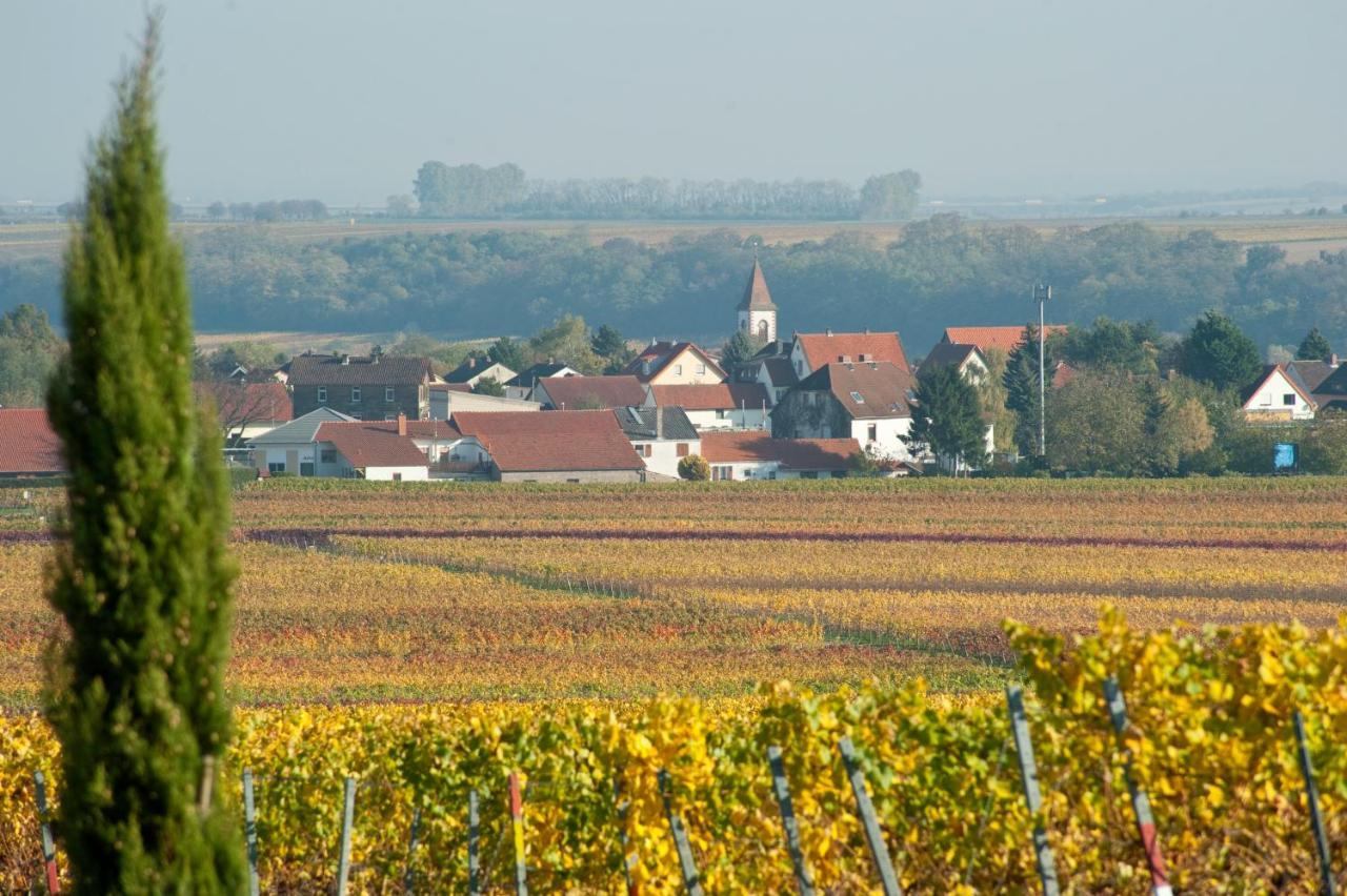 Gaestehaus & Weingut Peth Florsheim-Dalsheim Εξωτερικό φωτογραφία